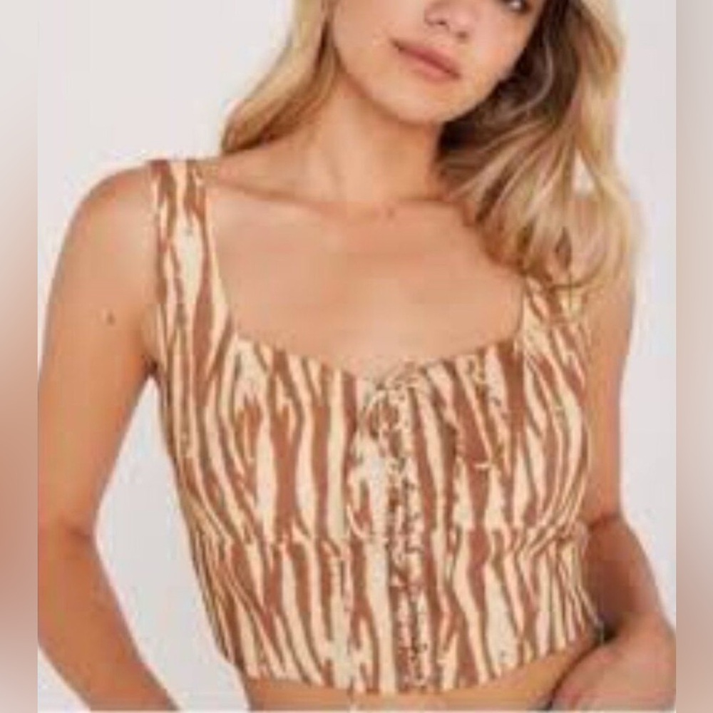 BACKYARD ROSES PAXTON BROWN ZEBRA CORSET TOP SIZE LARGE NWT